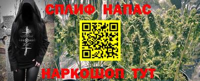 ешки Волгодонск
