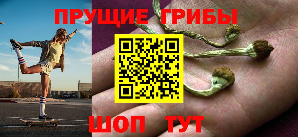 Нефтекумск  Галлюциногенные грибы Psilocybine cubensis  где купить наркоту  Вход с VPN 